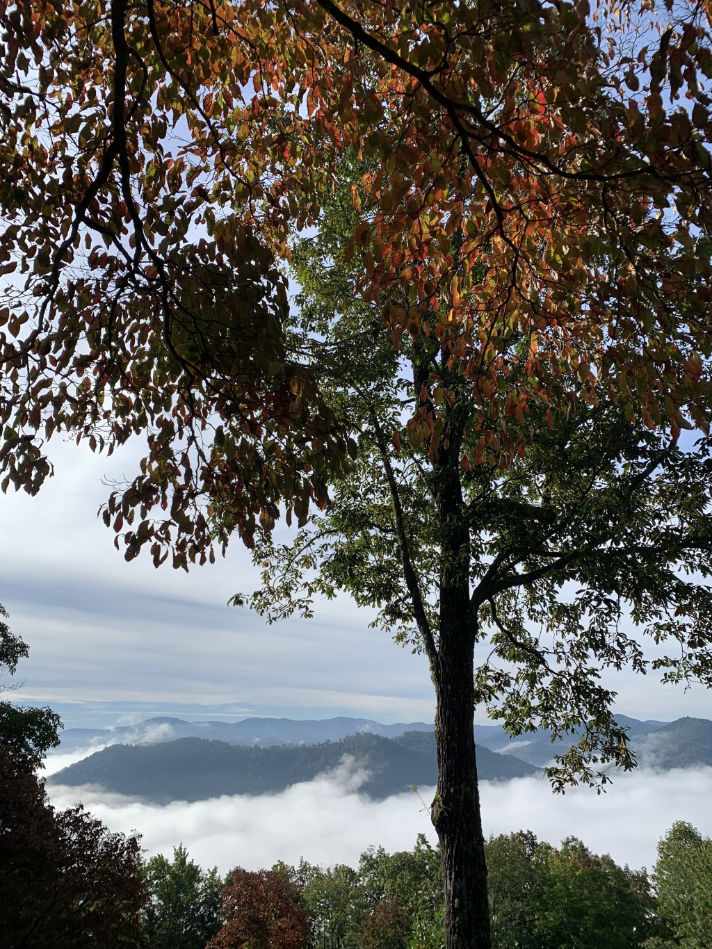 Supporting Aging Parents