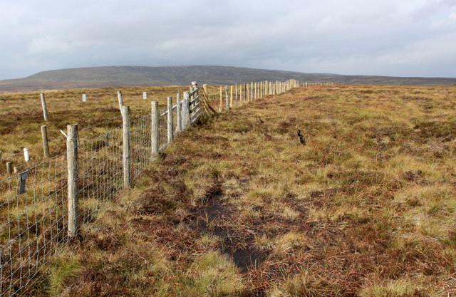 Boundaries Create Freedom